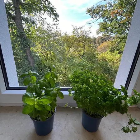 Moderne Wohlfuehl-wohnung In Altenrath *