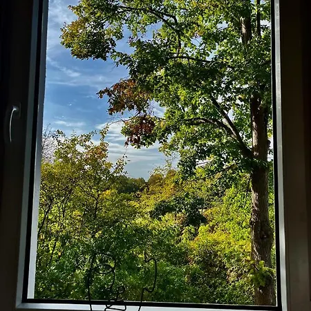 Moderne Wohlfuehl-wohnung In Altenrath Troisdorf