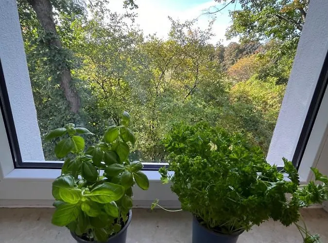 Moderne Wohlfuehl-wohnung In Altenrath *